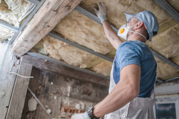 Best Energy-efficient Insulation  in Nyssa, OR
